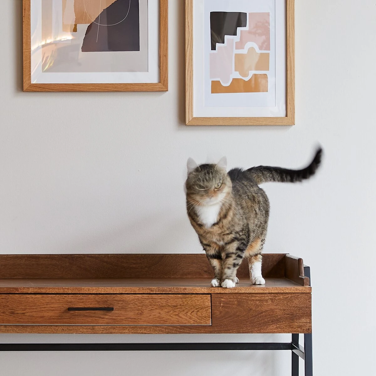 Hedda - Bureau En Manguier Massif Et Métal 9 Hedda - Bureau En Manguier Massif Et Métal – Image 9